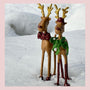 Rudolf