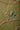 Star Hanging Decoration Green