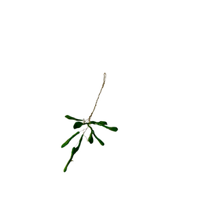 Misleten
